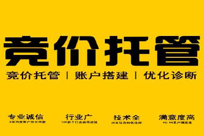 SEM推广公司案例：打造行业口碑传播典范